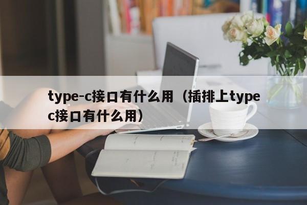 type-c接口有什么用（插排上typec接口有什么用）