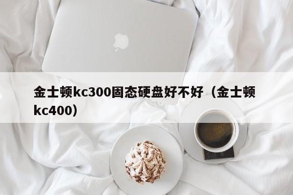 金士顿kc300固态硬盘好不好（金士顿 kc400）