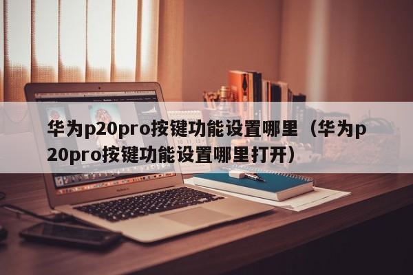 华为p20pro按键功能设置哪里（华为p20pro按键功能设置哪里打开）