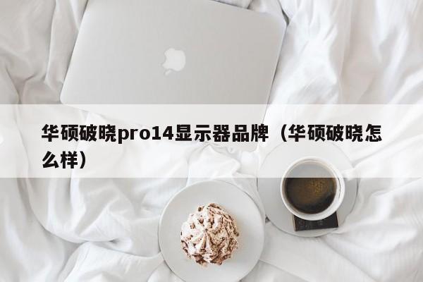 华硕破晓pro14显示器品牌（华硕破晓怎么样）