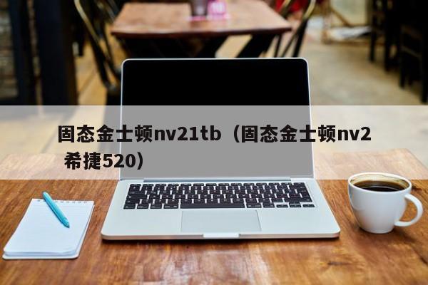 固态金士顿nv21tb（固态金士顿nv2 希捷520）