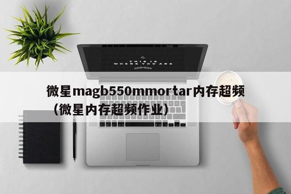 微星magb550mmortar内存超频（微星内存超频作业）