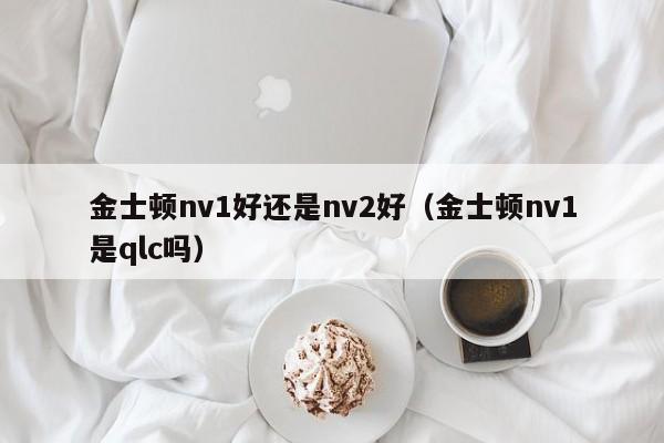 金士顿nv1好还是nv2好（金士顿nv1是qlc吗）