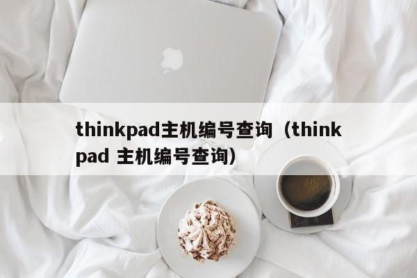 thinkpad主机编号查询（thinkpad 主机编号查询）