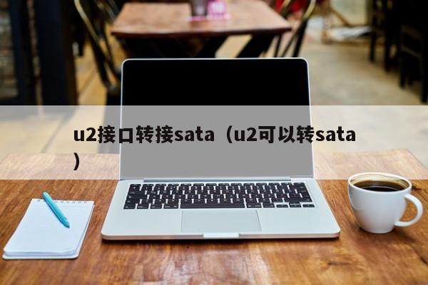 u2接口转接sata（u2可以转sata）