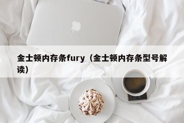 金士顿内存条fury（金士顿内存条型号解读）